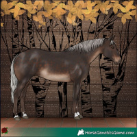 Horse Color:Silver Brown 