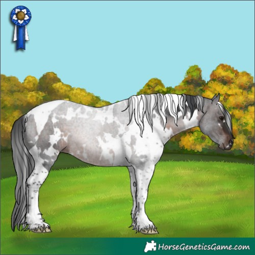 Horse Color:White Spotted Brown Tobiano Rabicano