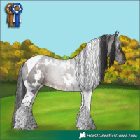 Horse Color:White Spotted Brown Tobiano Rabicano