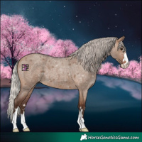 Horse Color:Silver Brown Roan Dun