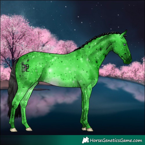 Horse Color:ERROR: UNKNOWN ANOMALY