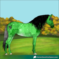 Horse Color:ERROR: UNKNOWN ANOMALY