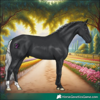 Horse Color:Silver Black Chinchilla 