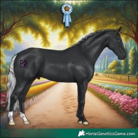 Horse Color:Silver Black Chinchilla 