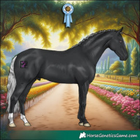 Horse Color:Silver Black Chinchilla 