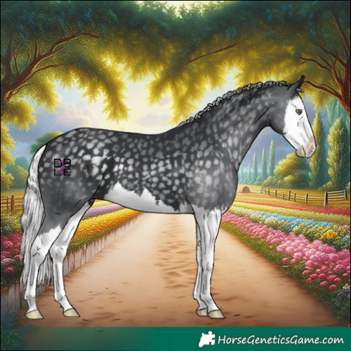 Horse Color:Silver Black Chinchilla Splash