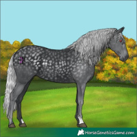 Horse Color:Silver Black Chinchilla 