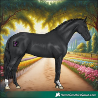 Horse Color:Black Chinchilla