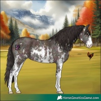 Horse Color:Midnight Bay Ice Sabino