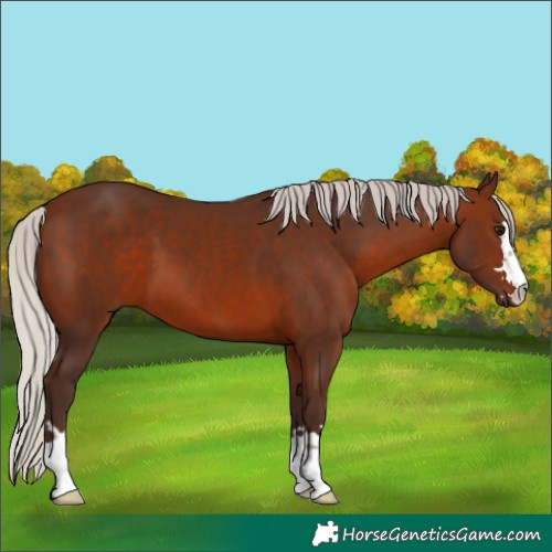 Horse Color:Silver Brown 