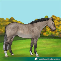 Horse Color:Brown Dun Brindle 
