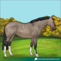 Horse Color:Brown Dun Brindle 