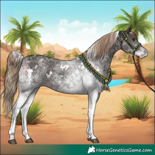 Horse Color:White Spotted Liver Chestnut 