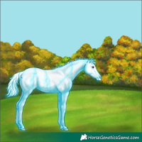 Horse Color:Thunderstruck Liver Chestnut Chinchilla Mushroom Tobiano Blanket 