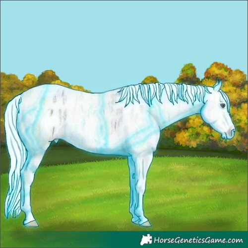 Horse Color:Thunderstruck Liver Chestnut Chinchilla Ice Mushroom Sabino Appaloosa Rabicano 