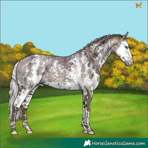 Horse Color:Watercolor Gold Champagne Ice Pearl Sabino Splash Rabicano 