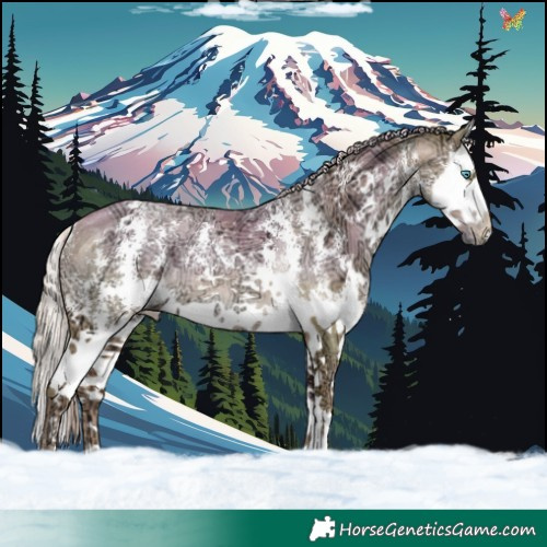 Horse Color:Watercolor Gold Champagne Ice Pearl Sabino Splash Rabicano 