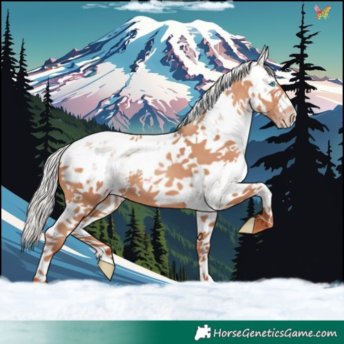 Horse Color:White Spotted Silver Sable Champagne Sabino 