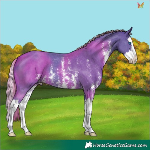 Horse Color:Watercolor Liver Chestnut Sabino Splash 