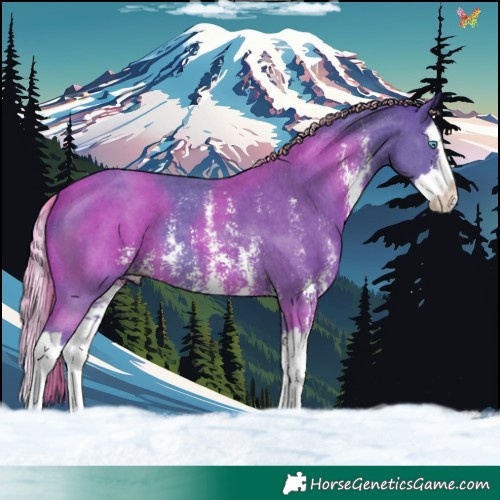 Horse Color:Watercolor Liver Chestnut Sabino Splash 