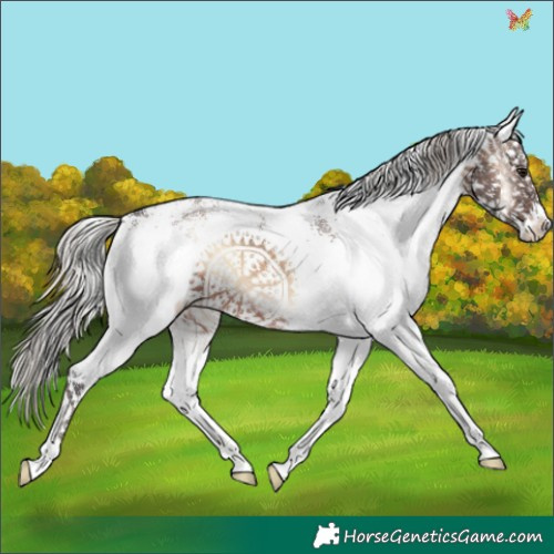 Horse Color:White Spotted Silver Brown Onyx 