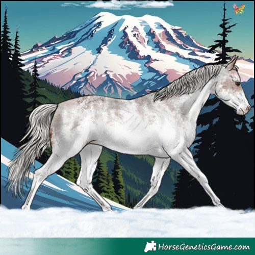Horse Color:White Spotted Silver Brown Varnish 