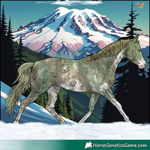 Horse Color:Watercolor Liver Chestnut Ice Pearl Sabino Rabicano 