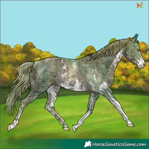 Horse Color:Watercolor Liver Chestnut Ice Pearl Sabino Rabicano 