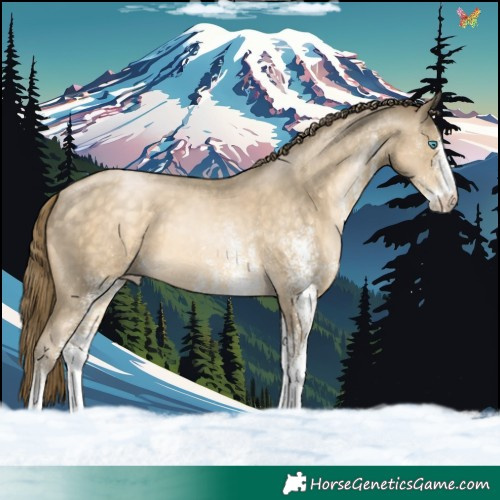 Horse Color:White Spotted Buckskin Pearl 