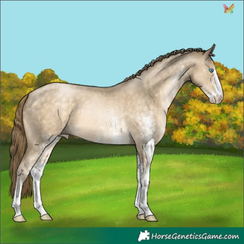 Horse Color:White Spotted Buckskin Pearl 