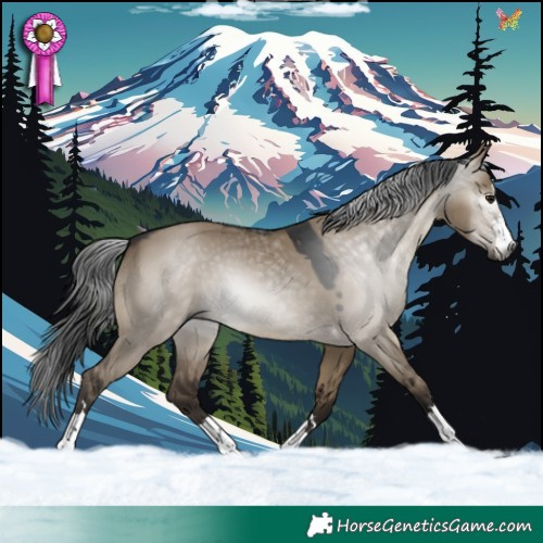 Horse Color:Gray Brown Dun 