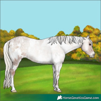 Horse Color:White Spotted Silver Blue Onyx Ice Roan 