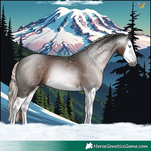 Horse Color:Gray Liver Chestnut Splash 