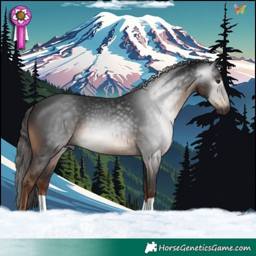 Horse Color:Gray Liver Chestnut 