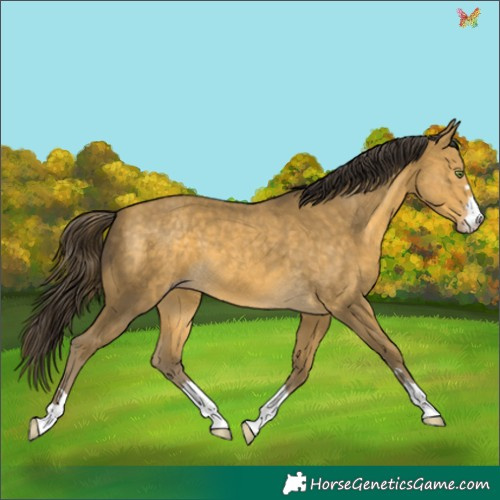 Horse Color:Sable Cream Champagne 