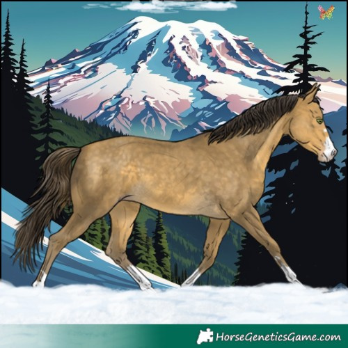 Horse Color:Sable Cream Champagne 