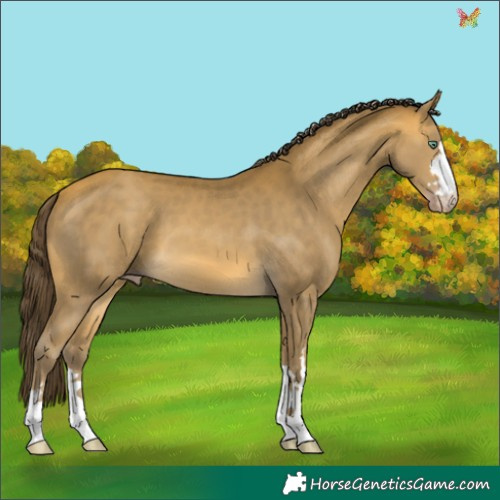 Horse Color:Sable Cream Champagne 