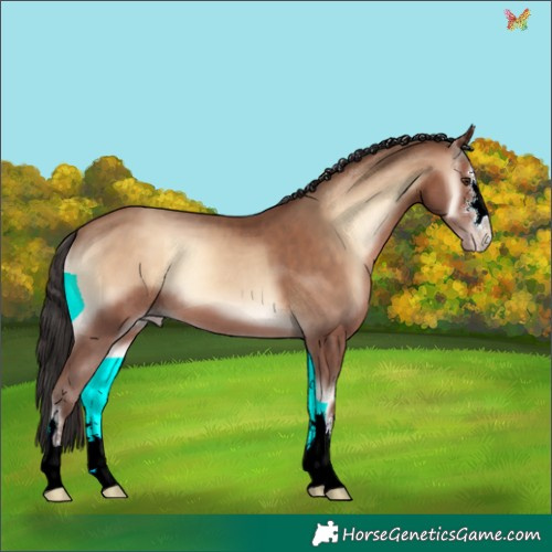 Horse Color:Sable Champagne Onyx 