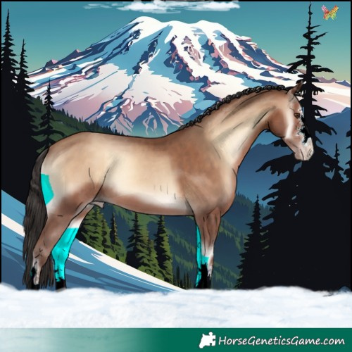 Horse Color:Sable Champagne Onyx 