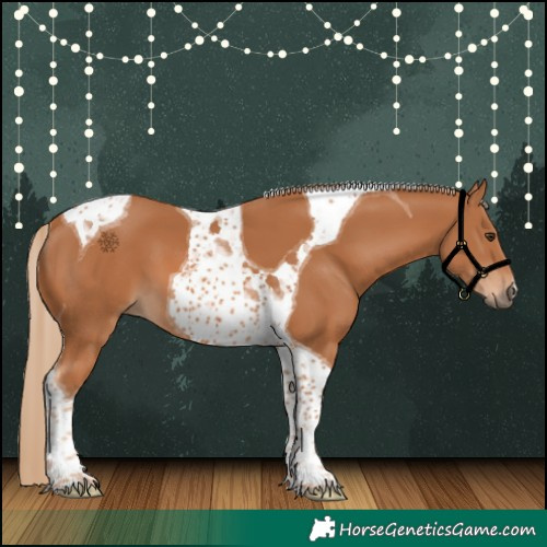 Horse Color:Chestnut Tobiano