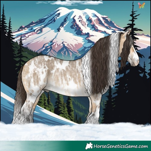 Horse Color:White Spotted Buckskin Ice Dun Rabicano 