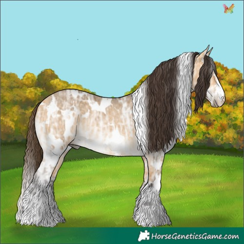 Horse Color:White Spotted Buckskin Ice Dun Rabicano 
