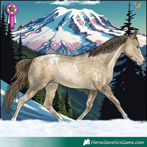 Horse Color:White Spotted Buckskin Pearl 