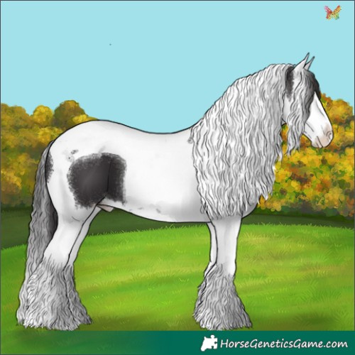 Horse Color:Smoky Black Splash Tobiano 