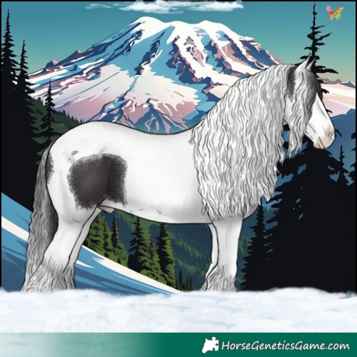 Horse Color:Smoky Black Splash Tobiano 