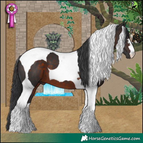 Horse Color:Brown Tobiano 