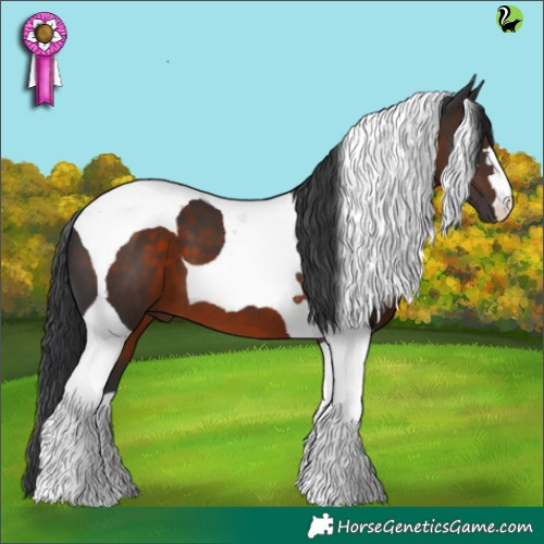 Horse Color:Brown Tobiano 