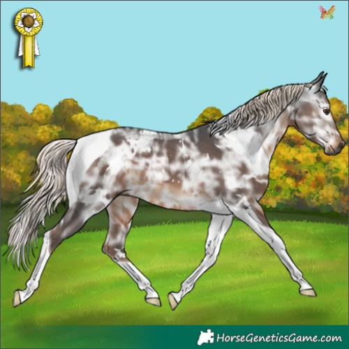 Horse Color:Gray White Spotted Liver Chestnut Ice Mushroom Tobiano 