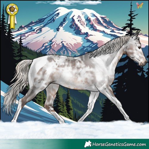 Horse Color:Gray White Spotted Liver Chestnut Ice Mushroom Tobiano 