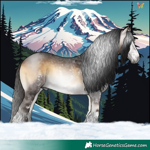 Horse Color:Gray Buckskin Onyx Sabino 